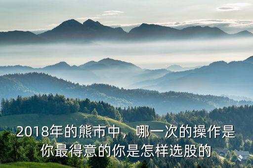 2018年的熊市中，哪一次的操作是你最得意的你是怎樣選股的
