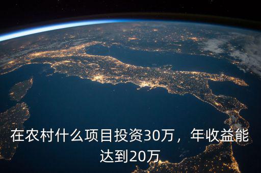 在農(nóng)村什么項目投資30萬，年收益能達到20萬