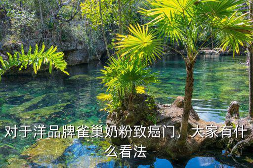 對(duì)于洋品牌雀巢奶粉致癌門，大家有什么看法