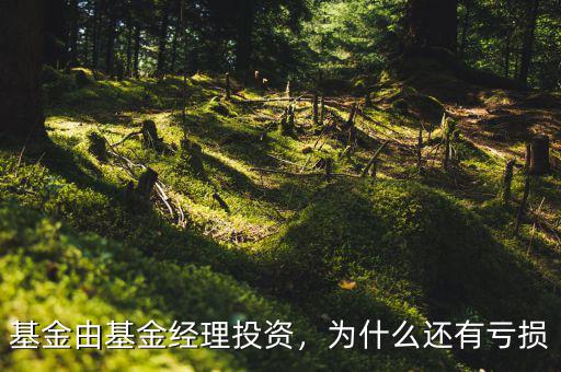 基金由基金經(jīng)理投資，為什么還有虧損