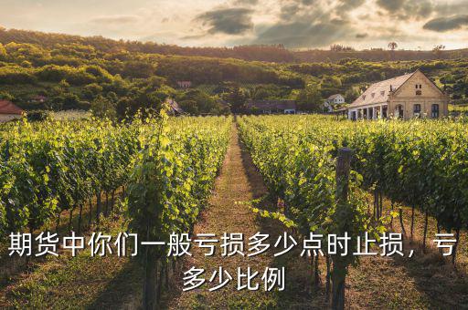 期貨中你們一般虧損多少點(diǎn)時(shí)止損，虧多少比例