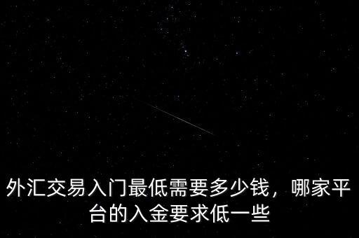 外匯交易入門最低需要多少錢，哪家平臺的入金要求低一些