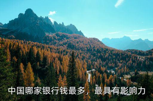 中國(guó)哪家銀行錢最多，最具有影響力