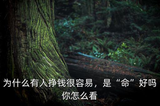 為什么有人掙錢很容易，是“命”好嗎你怎么看