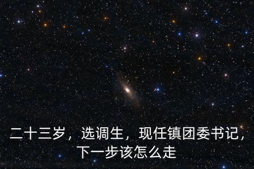 二十三歲，選調(diào)生，現(xiàn)任鎮(zhèn)團(tuán)委書記，下一步該怎么走