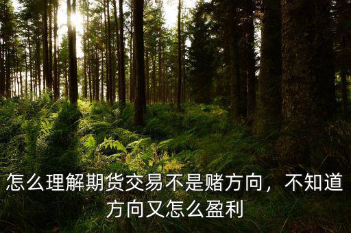 怎么理解期貨交易不是賭方向，不知道方向又怎么盈利