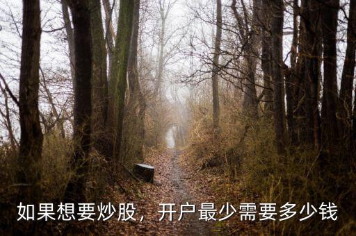 如果想要炒股，開戶最少需要多少錢