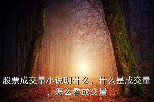 股票成交量小說明什么，什么是成交量，怎么看成交量