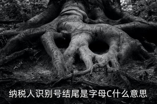 c級納稅人是什么意思，納稅人識別號結尾是字母C什么意思