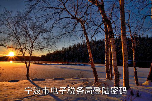 電子稅務(wù)默認(rèn)登錄密碼是什么，稅務(wù)局網(wǎng)站的登入賬戶初始密碼是什么