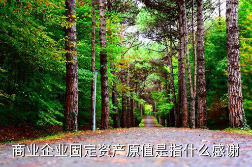 商業(yè)企業(yè)固定資產原值是指什么感謝