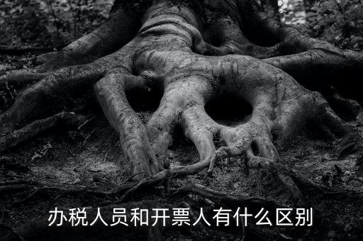 辦稅人員是什么，辦稅人員和開票人有什么區(qū)別