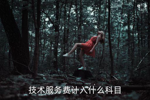 技術(shù)服務(wù)收入計(jì)入什么科目，收到技術(shù)服務(wù)費(fèi)計(jì)入什么科目