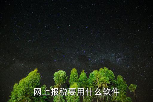 網(wǎng)上報稅下載什么軟件，深圳etax網(wǎng)上報稅軟件哪里下載