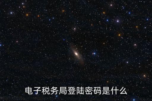 納稅人登路的密碼是什么，國稅第一次網(wǎng)上申報的登陸密碼是什么