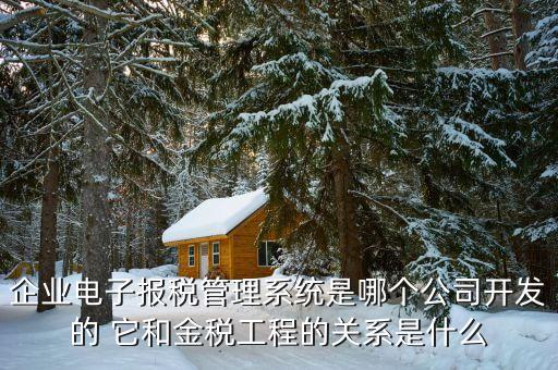 什么是網(wǎng)稅系統(tǒng)，企業(yè)電子報(bào)稅管理系統(tǒng)是哪個(gè)公司開發(fā)的 它和金稅工程的關(guān)系是什么