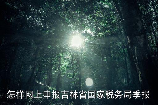 吉林省用什么報稅系統(tǒng)，吉林省的報稅系統(tǒng)如何使用