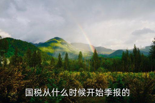 國稅什么時(shí)間申報(bào)，國稅從什么時(shí)候開始季報(bào)的