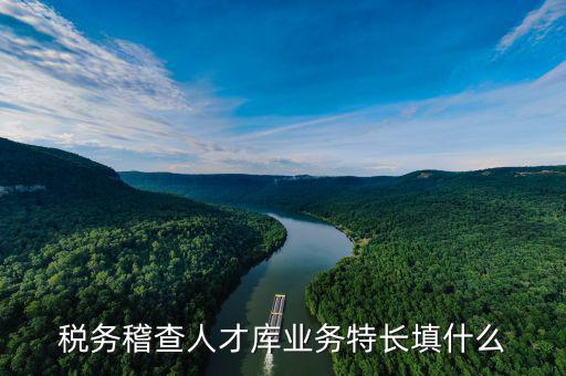 地稅局的人才庫是什么，地稅局的人具體做什么
