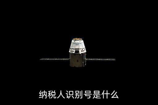 海寧市國家稅務(wù)局認(rèn)別號(hào)是什么，納稅人識(shí)別號(hào)是什么