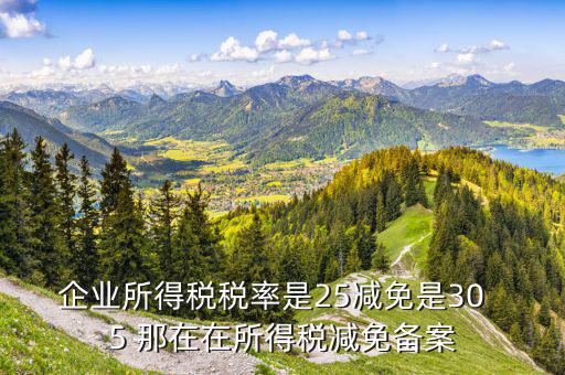 增值稅優(yōu)惠什么備案表，增值稅減免稅備案需要哪些資料