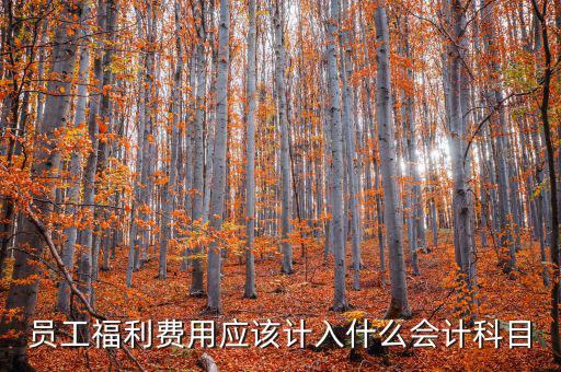 員工福利費(fèi)用應(yīng)該計入什么會計科目