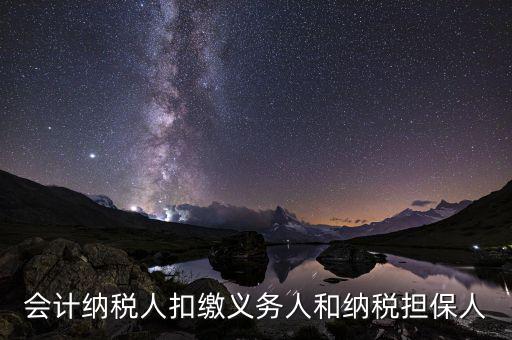 什么叫納稅擔(dān)保人，什么是納稅擔(dān)保