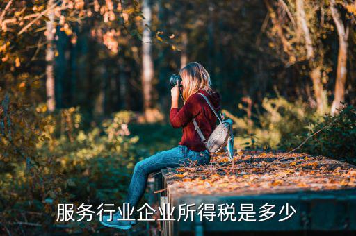 什么是接受服務(wù)企業(yè)所得稅，服務(wù)行業(yè)企業(yè)所得稅是多少