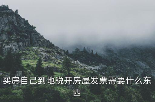 買(mǎi)房自己到地稅開(kāi)房屋發(fā)票需要什么東西