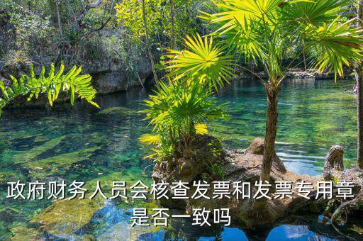 什么情況會核查發(fā)票，就是稅務(wù)局導(dǎo)出數(shù)據(jù)的時候會不會核對一下發(fā)票的因為我不確定自