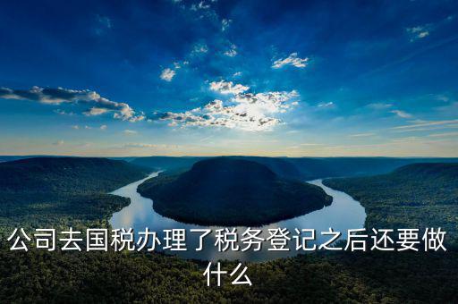 國稅辦完之后辦什么，公司去國稅辦理了稅務(wù)登記之后還要做什么