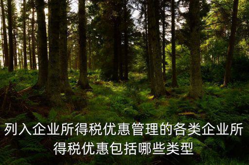 企業(yè)所得稅優(yōu)惠事項(xiàng)名稱指什么，享受企業(yè)所得稅優(yōu)惠申請表中稅收優(yōu)惠事項(xiàng)名稱怎么填