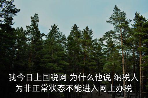 我今日上國稅網 為什么他說 納稅人為非正常狀態(tài)不能進入網上辦稅