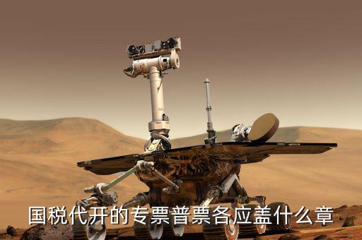 國稅代開的專票普票各應蓋什么章