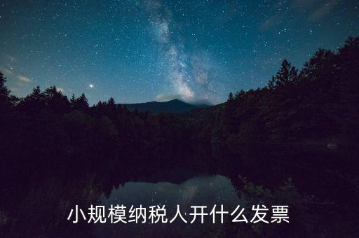 成都小規(guī)模應開什么發(fā)票，小規(guī)模納稅人開什么發(fā)票