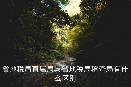什么是地稅直屬局，國家稅務局直屬稅務分局是什么意思