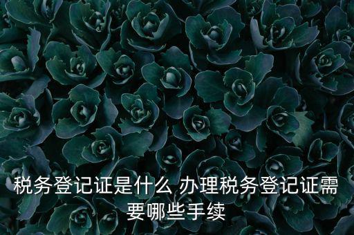 地稅局登記是什么，地稅辦理稅務登記需要哪些資料