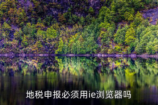 用什么瀏覽器申報(bào)山東地稅，地稅申報(bào)必須用ie瀏覽器嗎