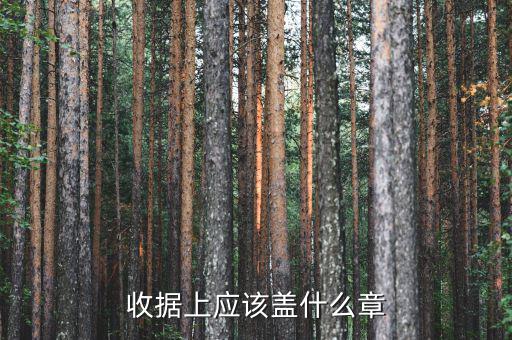 收據(jù)應(yīng)蓋什么章，收據(jù)蓋什么章有規(guī)定嗎