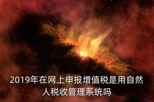 什么是增值稅管理系統(tǒng)，2019年在網(wǎng)上申報(bào)增值稅是用自然人稅收管理系統(tǒng)嗎
