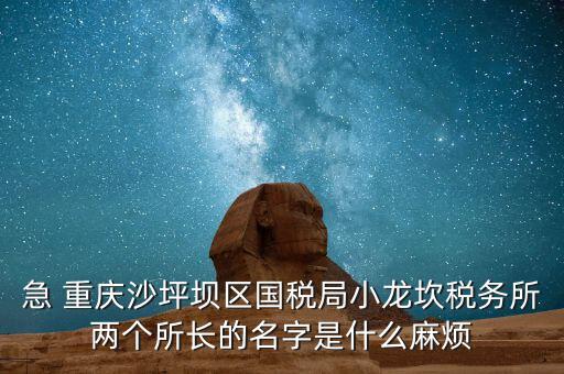 稅務(wù)所所長什么級別，地稅局基層稅務(wù)所屬什么層級
