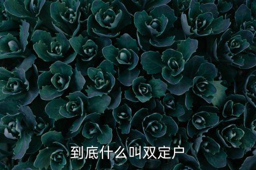 什么是雙定戶(hù)，雙翅一一翻雙眉什么雙眼什么