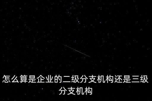 什么叫企業(yè)二級分支機(jī)構(gòu)，現(xiàn)在分公司要辦稅務(wù)登記證但是我想問一下二級分機(jī)構(gòu)指的是