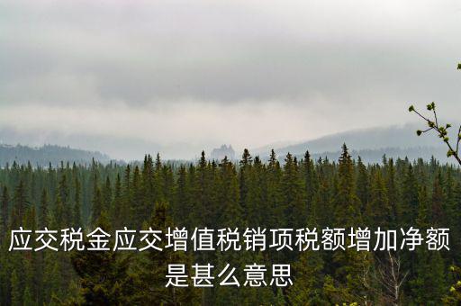 稅額增長點是什么意思，應(yīng)交稅金應(yīng)交增值稅銷項稅額增加凈額是甚么意思