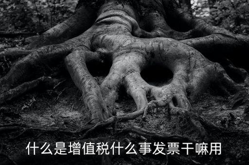 什么是增值發(fā)票，什么是增值發(fā)票