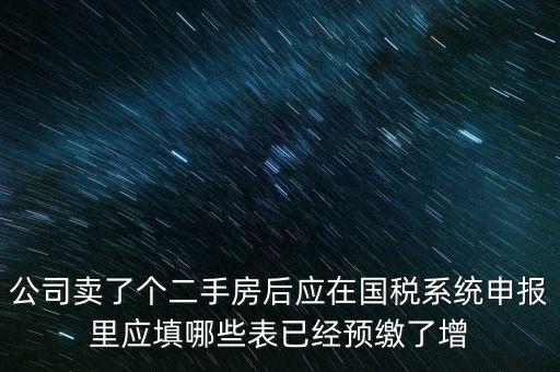 公司賣了個二手房后應(yīng)在國稅系統(tǒng)申報(bào)里應(yīng)填哪些表已經(jīng)預(yù)繳了增