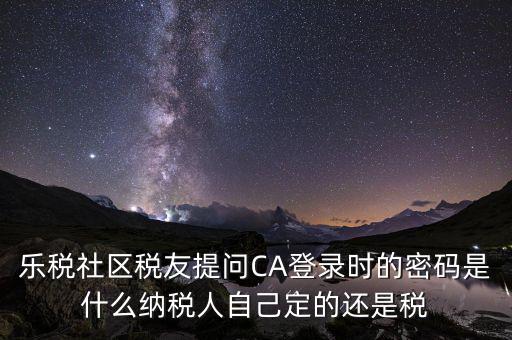 納稅人登路的密碼是什么意思，國稅第一次網(wǎng)上申報(bào)的登陸密碼是什么