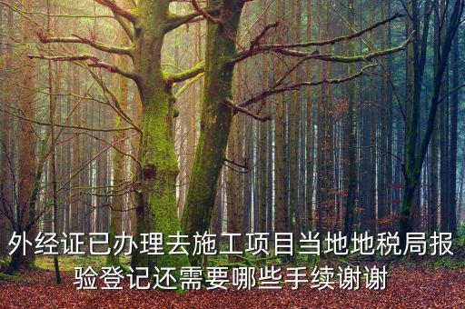 外管證報(bào)驗(yàn)都需要什么，辦了外管證咋申報(bào)