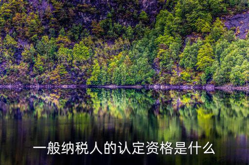 一般納稅人資格證書是什么，一般納稅人的認定資格是什么