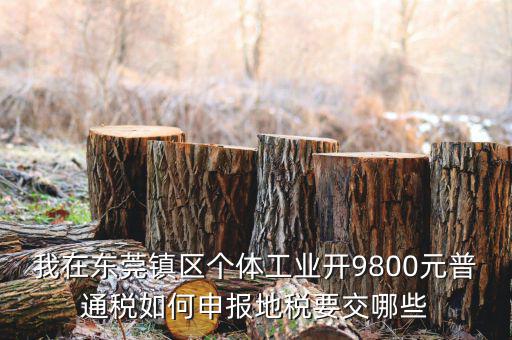 四稅一費(fèi)是什么，我在東莞鎮(zhèn)區(qū)個(gè)體工業(yè)開(kāi)9800元普通稅如何申報(bào)地稅要交哪些